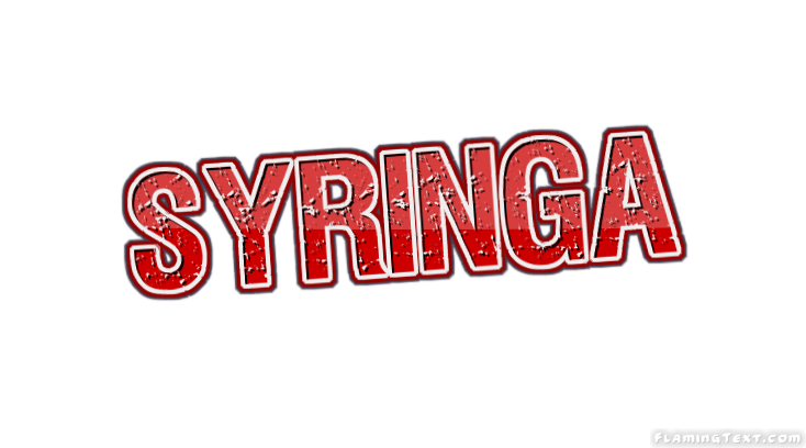 Syringa City
