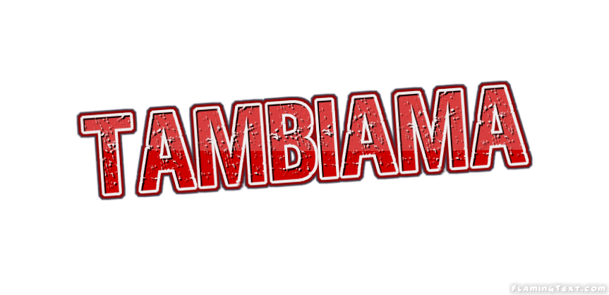 Tambiama City