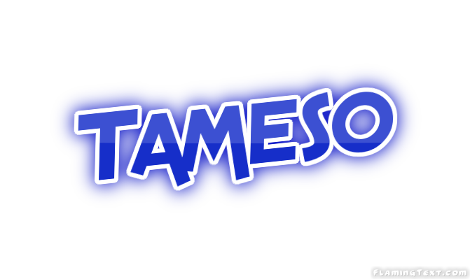 Tameso City