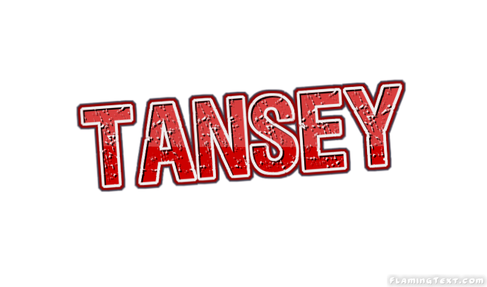 Tansey City