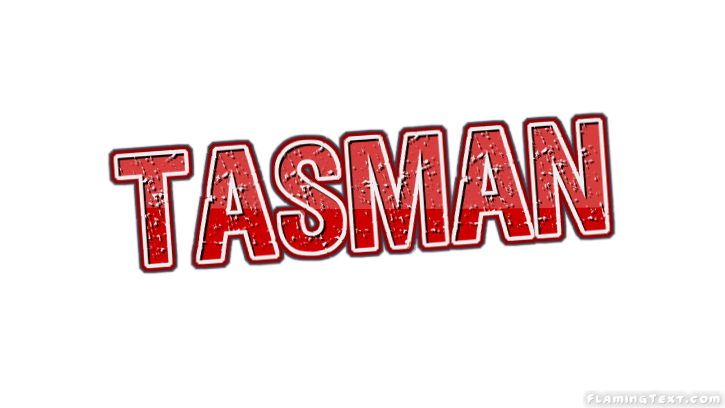 Tasman 市