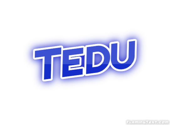 Tedu City