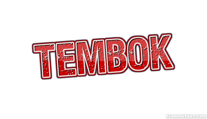 Tembok City