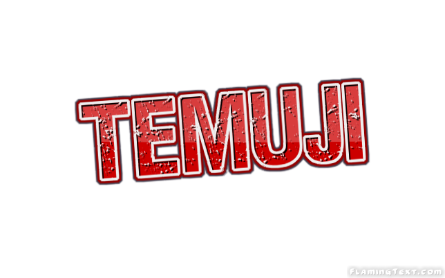 Temuji город