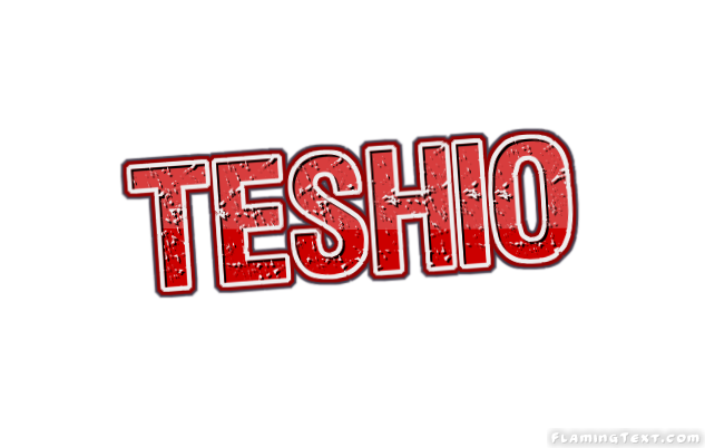 Teshio город