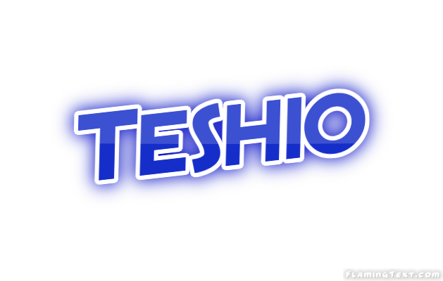 Teshio город