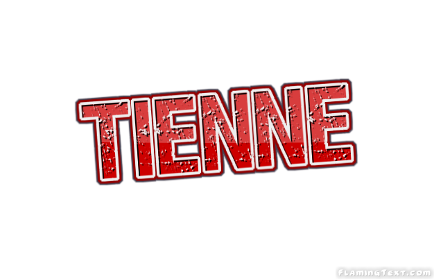 Tienne City
