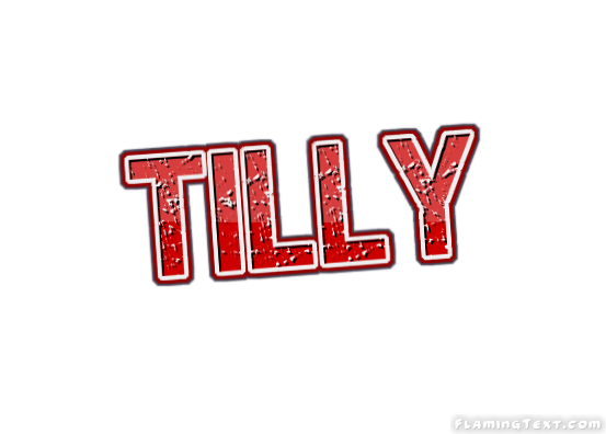 Tilly город