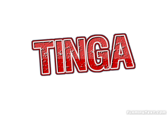 Tinga City