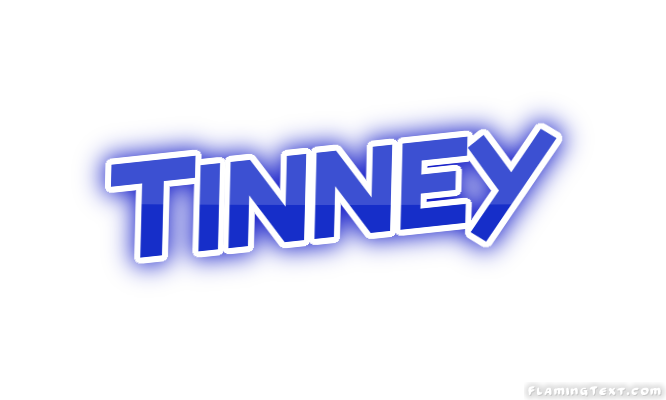 Tinney город