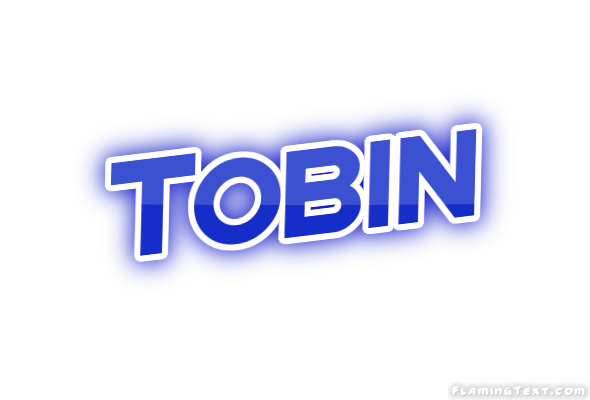 Tobin 市