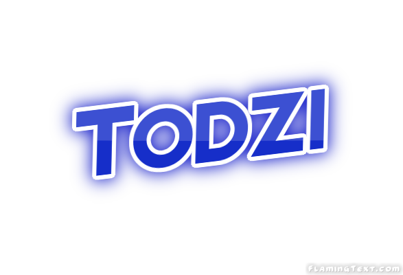 Todzi City