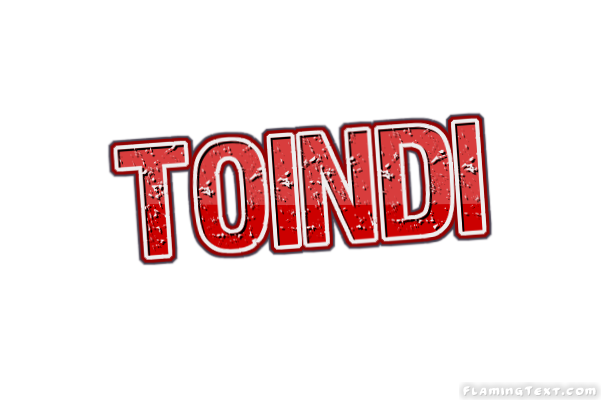 Toindi City