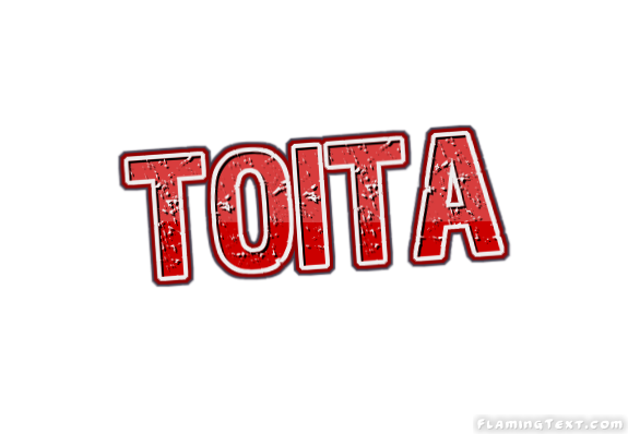Toita City
