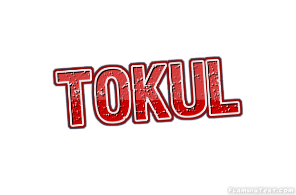 Tokul 市