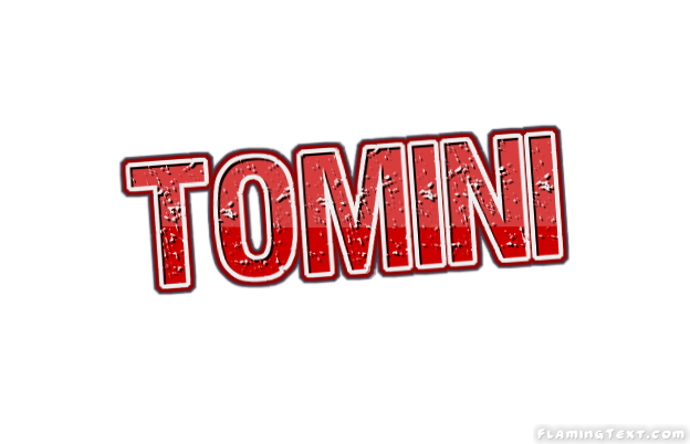 Tomini City