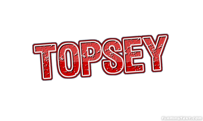 Topsey City