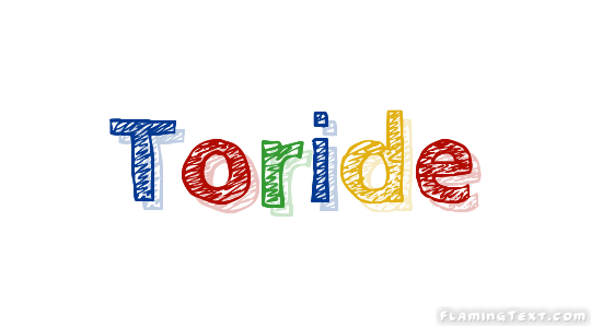 Toride City