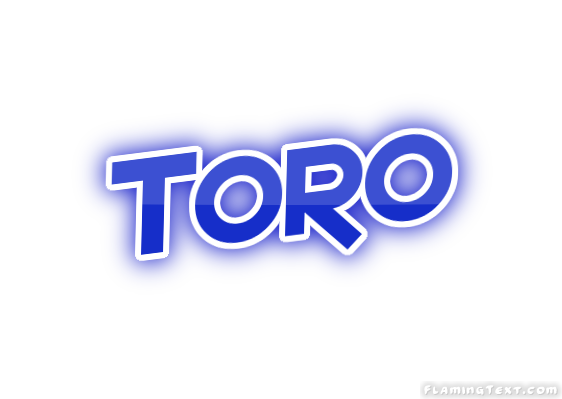 Toro город