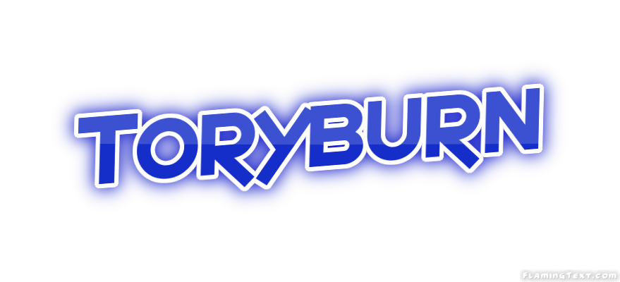 Toryburn City