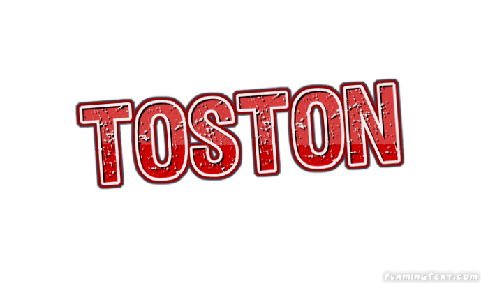 Toston City