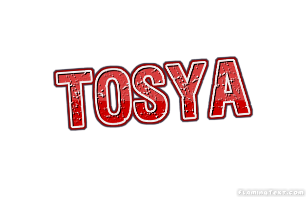 Tosya Stadt