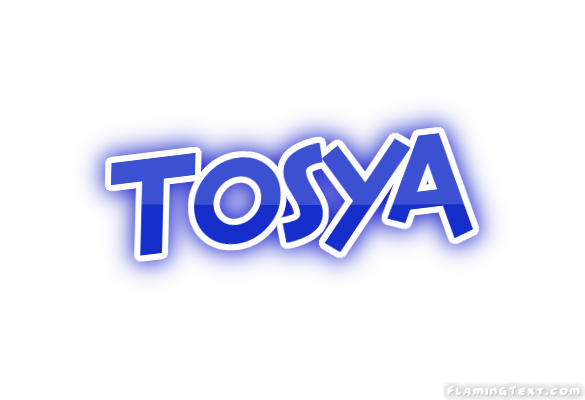 Tosya 市