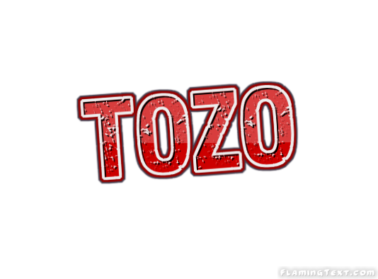 Tozo город