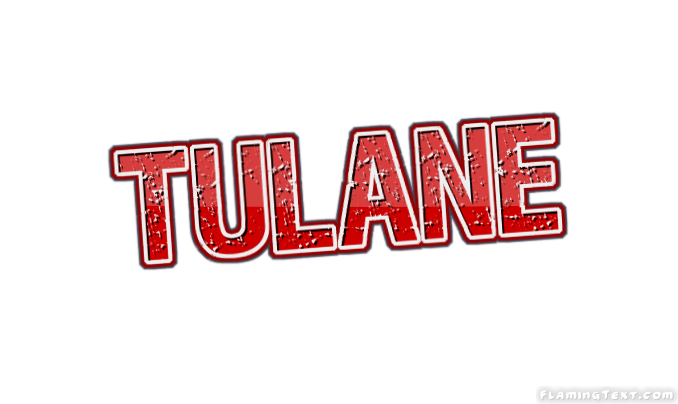 Tulane City