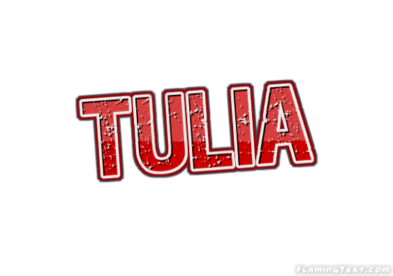 Tulia 市