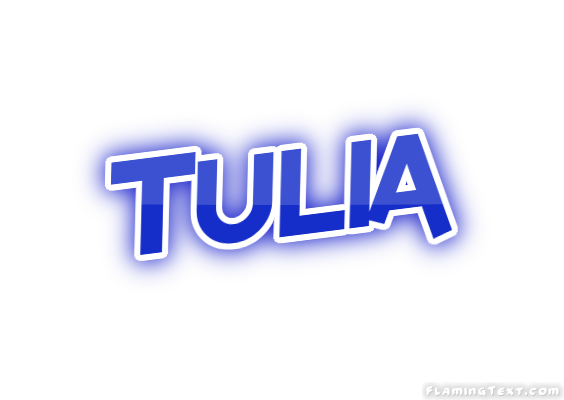 Tulia Ciudad