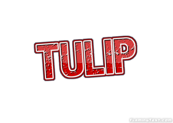 Tulip Stadt
