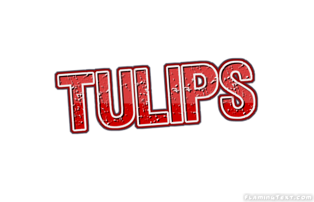 Tulips город