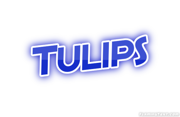 Tulips Stadt