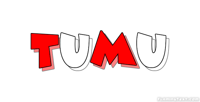 Tumu City
