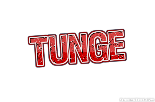 Tunge City