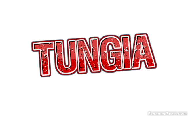 Tungia City