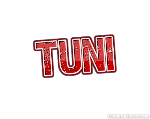 Tuni город