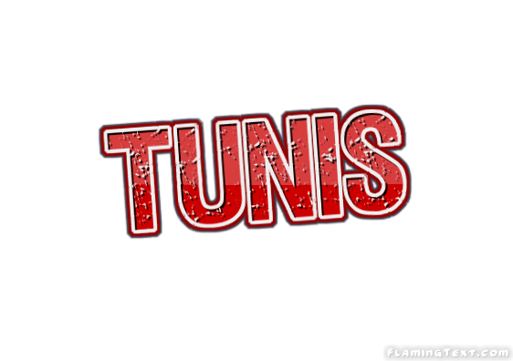 Tunis Stadt