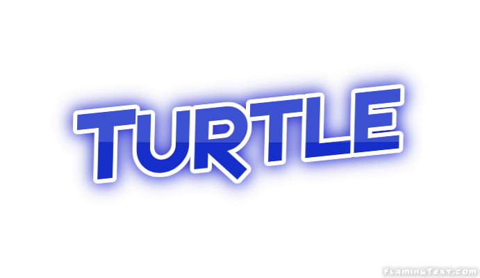 Turtle город