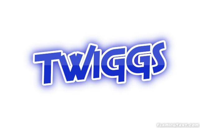 Twiggs City