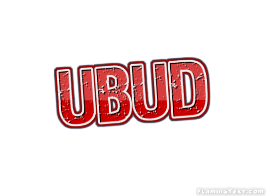 Ubud City