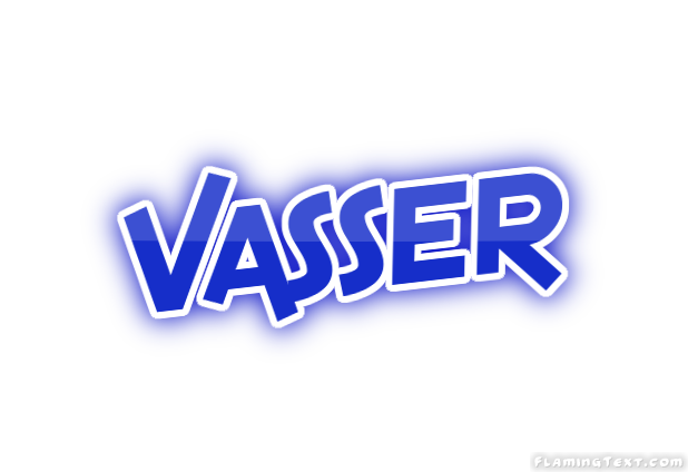 Vasser City