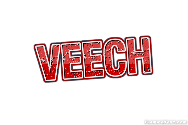 Veech 市