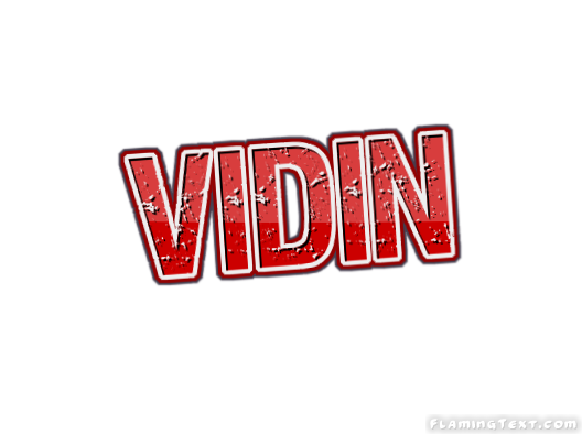 Vidin City