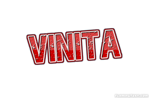 Vinita City