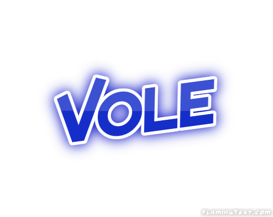 Vole Ville