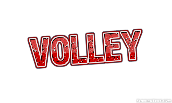 Volley 市