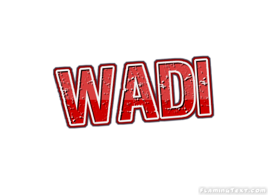 Wadi 市