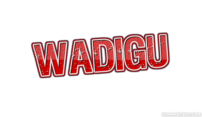Wadigu город